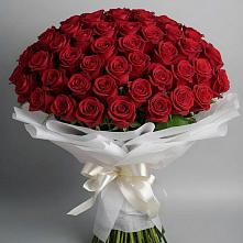 Букет 101 Красная роза Блэк Мэджик в Кудепста
