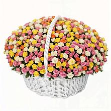 Премиум букет из: Розы в Кудепста