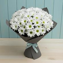 Букет цветов из:  Хризантемы в Кудепста