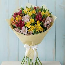 Букет цветов из:  Альстромерии в Кудепста