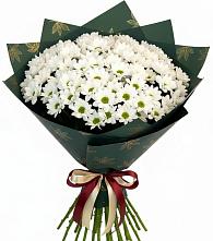 Букет цветов из:  Хризантемы в Кудепста