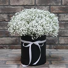 Цветочная композиция из Гипсофила в шляпной коробке #REPLACE_PRED# Кудепста