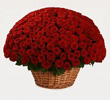 Премиум букет из: Розы в Кудепста