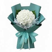 Букет цветов из:  Гортензия в Кудепста